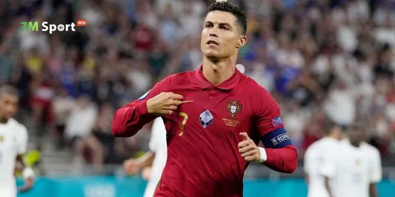 Giải đáp nhanh chóng các thắc mắc thường gặp cho người dùng mới