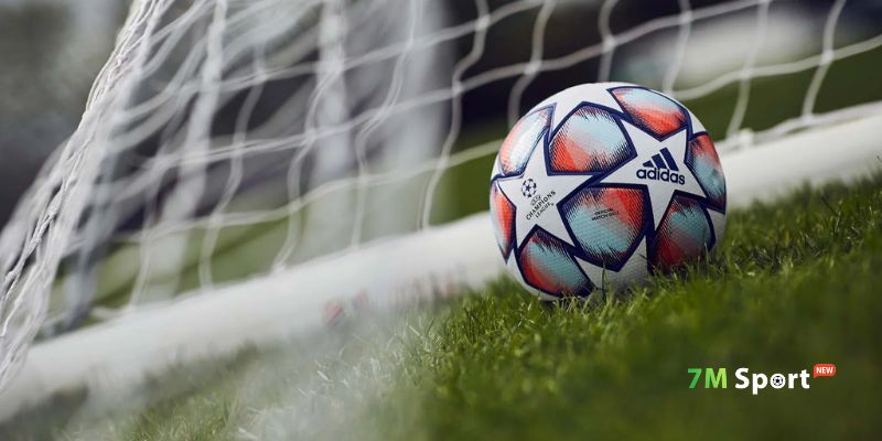 Xem ngày tin tức thể thao bóng đá mới nhất hôm nay